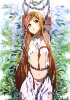 Sword_Art_Online_553a9bf47aa53.jpg